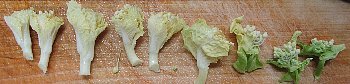 f0003283_09394842.jpg