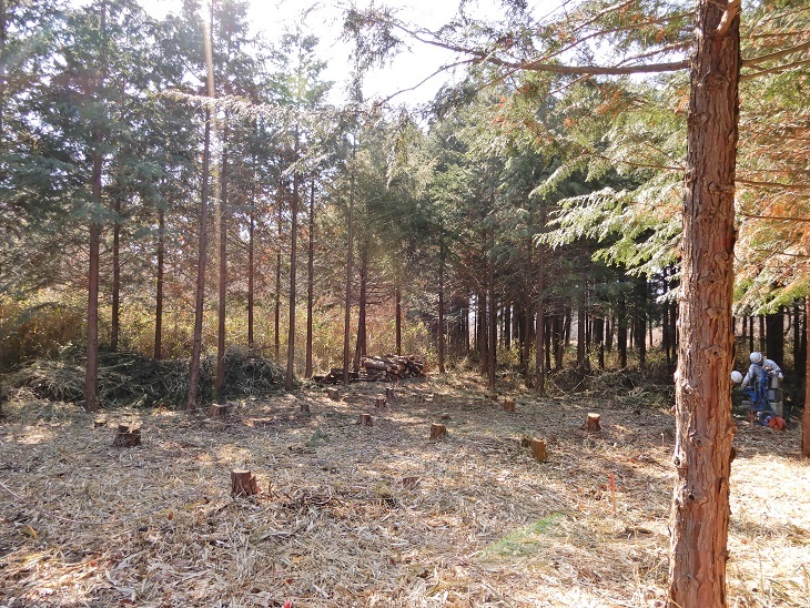 長坂町Yさんの土地にて^^_a0211886_11011947.jpg