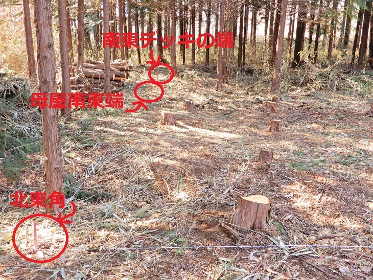 長坂町Yさんの土地にて^^_a0211886_11161788.jpg
