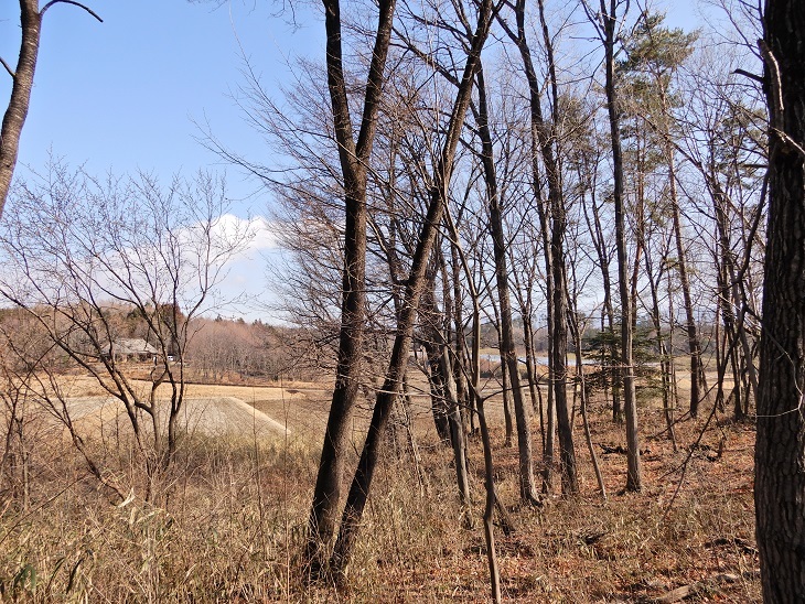 長坂町Yさんの土地にて^^_a0211886_13241782.jpg