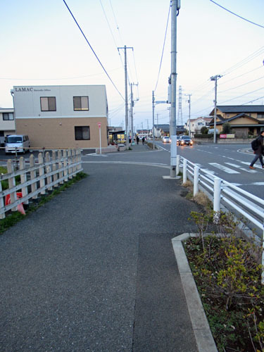 54日ぶりの復活_d0085887_23341033.jpg