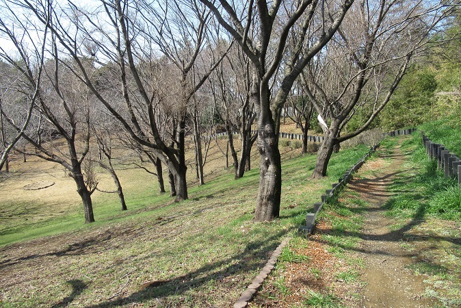 d0183387_15280121.jpg
