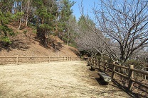 d0183387_16284210.jpg