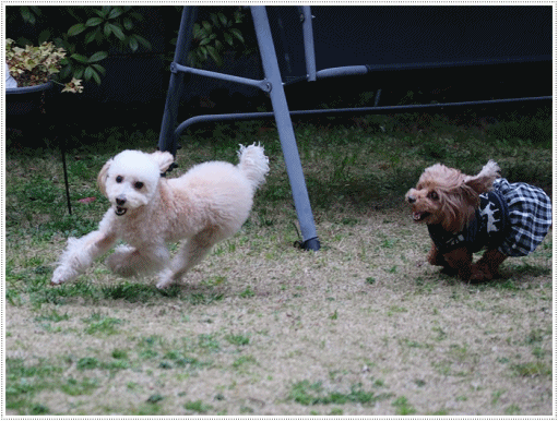 b0175688_23140001.gif