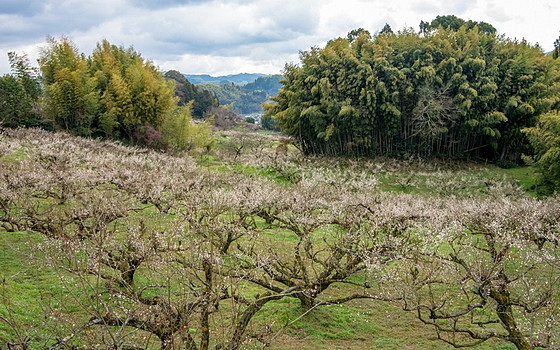 e0176993_09455375.jpg