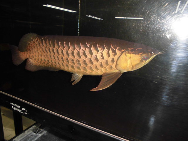 e0143096_16415246.jpg