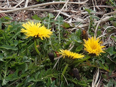 c0187298_23503928.jpg