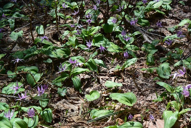 c0124100_17302869.jpg
