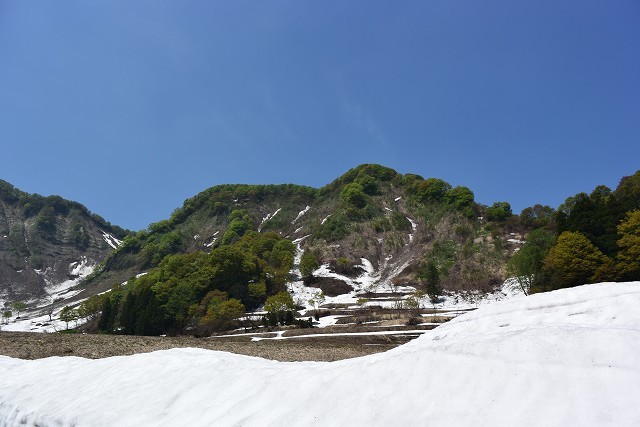 c0124100_17304557.jpg