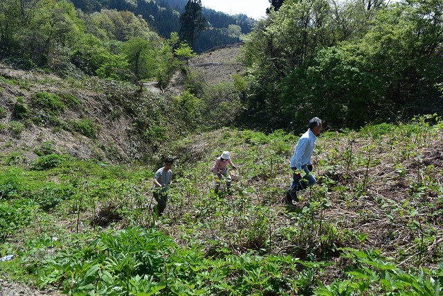 c0124100_17325645.jpg