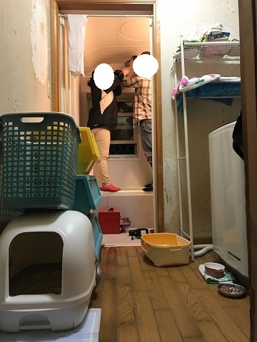 傍観者と…傍観猫…_f0242002_11111888.jpg