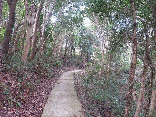 Kii route-11 Walking through a village full of flowers / 花の里、塩屋王子から津井王子へ　_d0360104_23330159.jpg