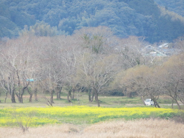 a0100706_20352486.jpg