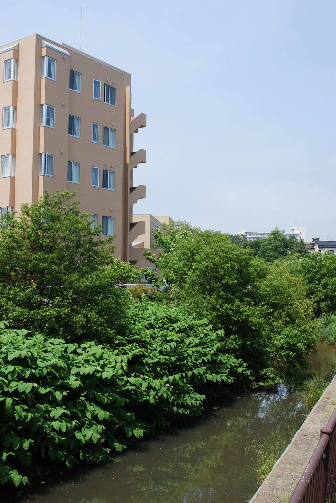 函館の泉合名会社湯の川住宅(建築家・関根要太郎作品研究)_f0142606_18115914.jpg