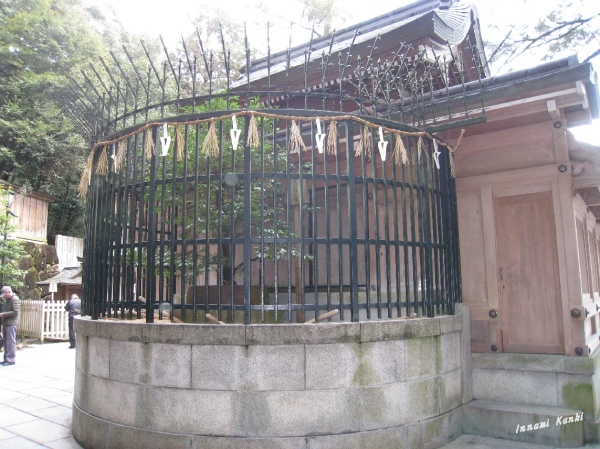d0287413_09130696.jpg
