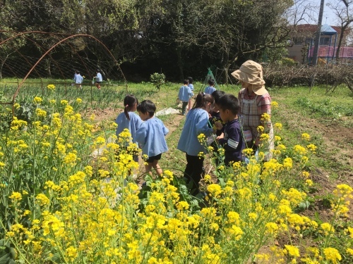 春休み預かり保育のお知らせ_c0107515_14022310.jpeg