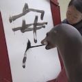 「安」の字の新元号は内心の自由の侵害 - 野党は国会で質疑討論を_c0315619_14082033.jpg