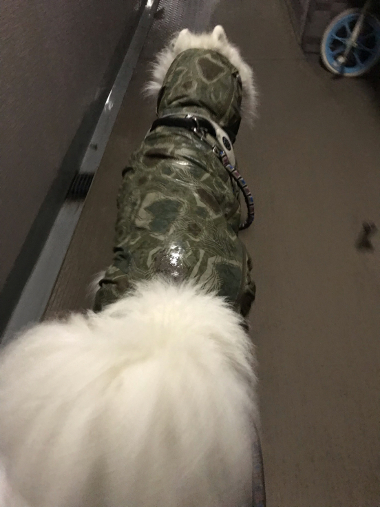 f0234023_13140563.jpg