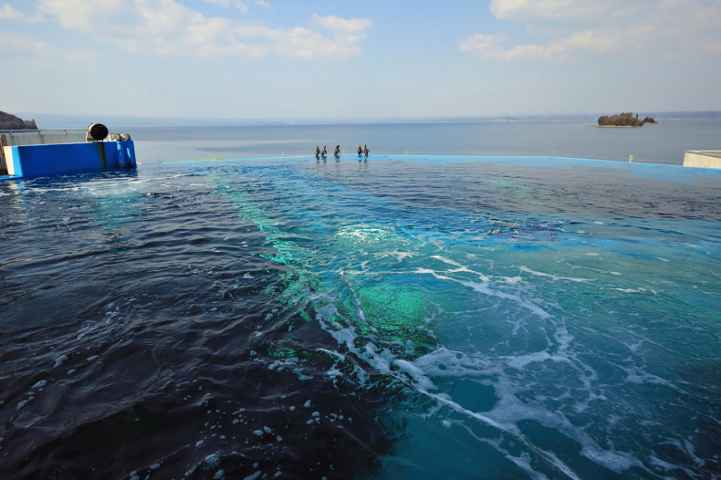 まゝに/のとじま水族館 Pt.2　ふわりぷかぷか_d0342426_19362572.jpg