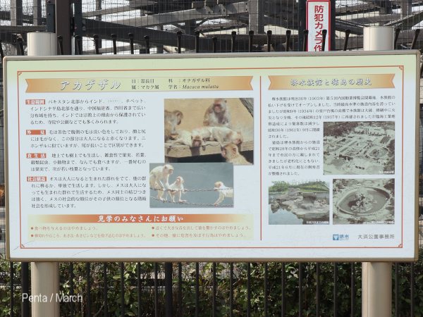 c0227134_01412839.jpg