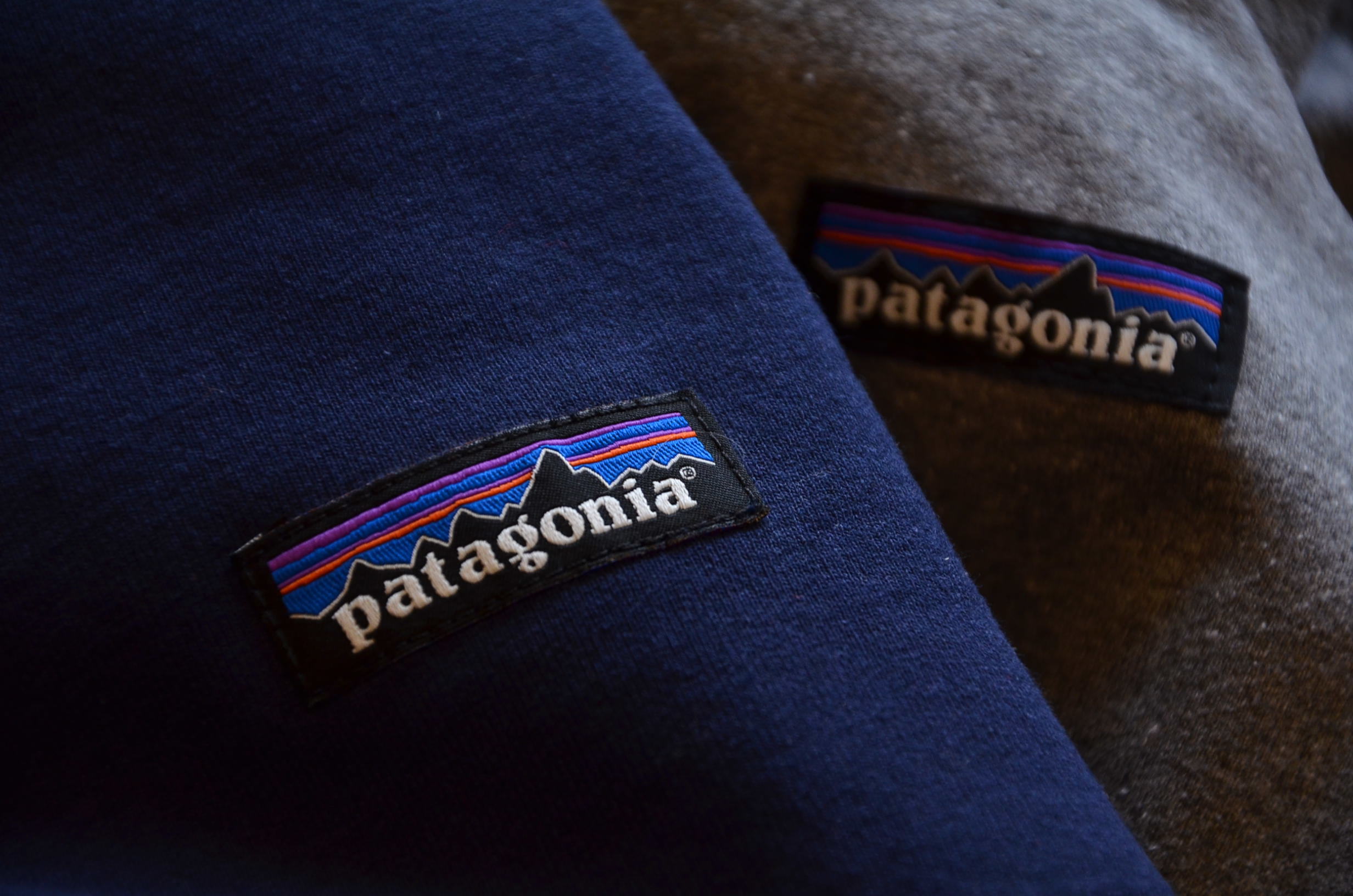 patagoniaのスウェット。_c0167336_21131614.jpg