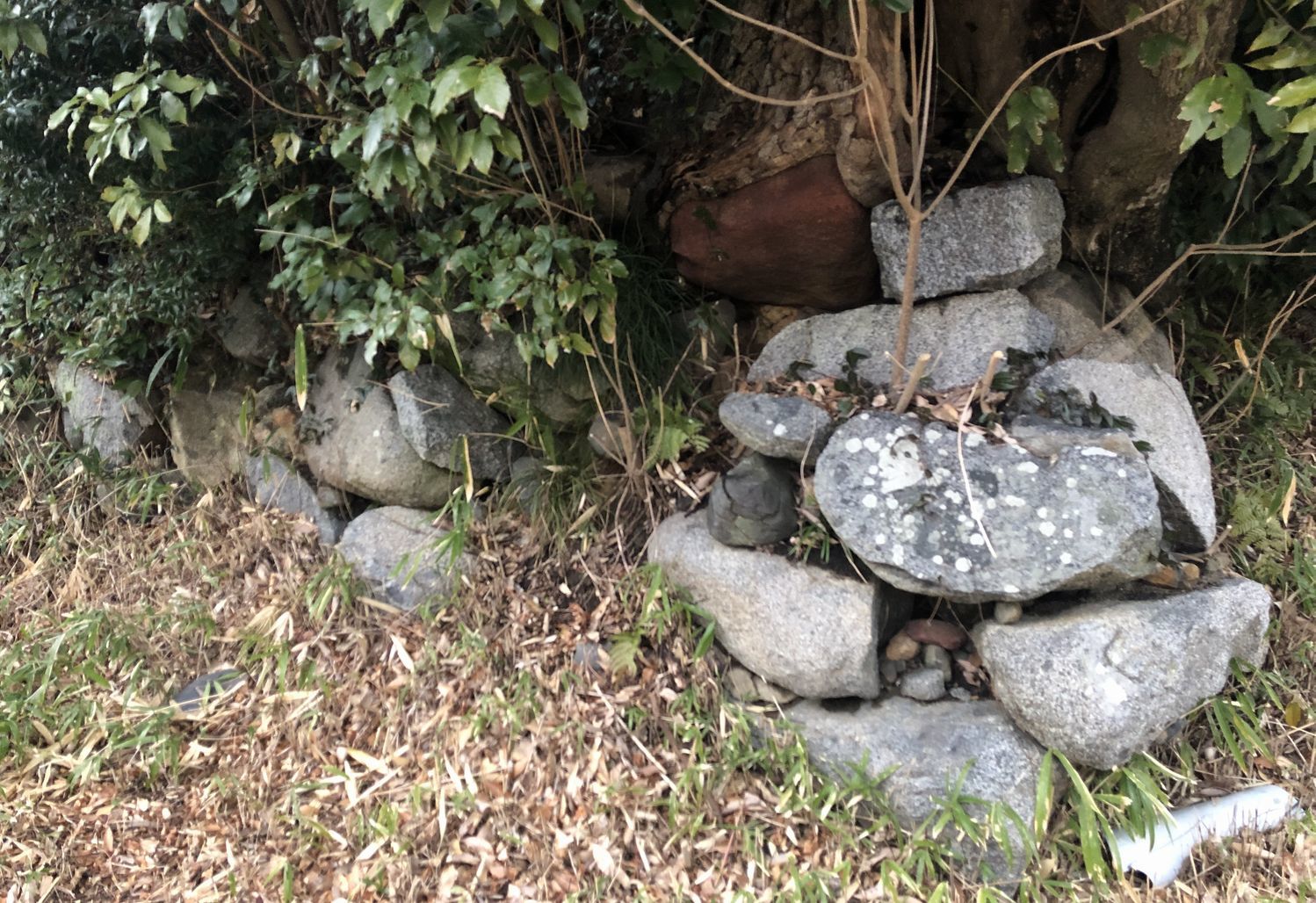 コロコロ山古墳 奈良・桜井の歴史と社会