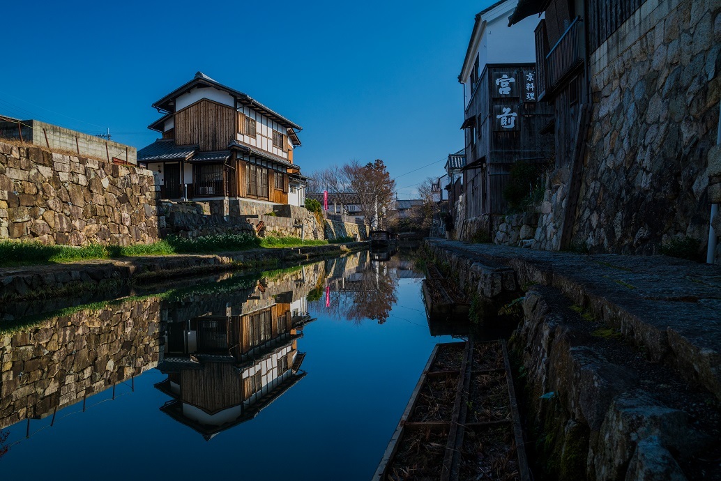 八幡堀に咲く水仙_e0363038_11080250.jpg