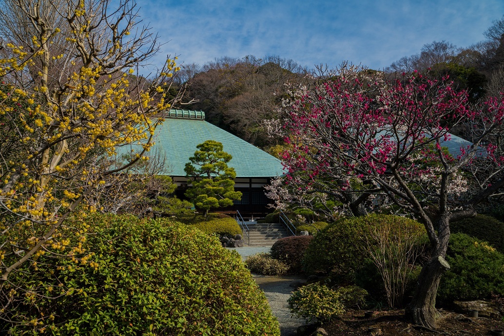鎌倉~金沢街道・浄妙寺_e0363038_11133997.jpg