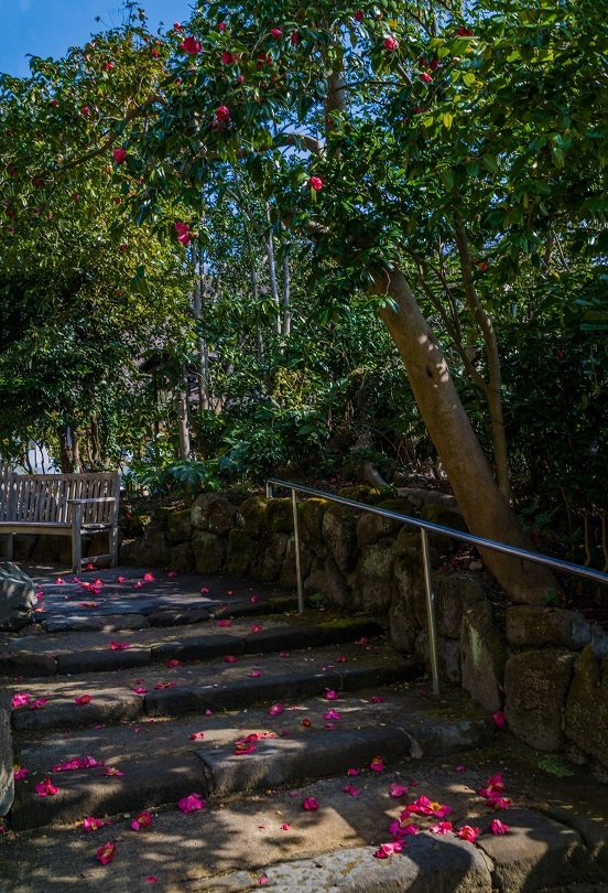 鎌倉~金沢街道・浄妙寺_e0363038_11141080.jpg