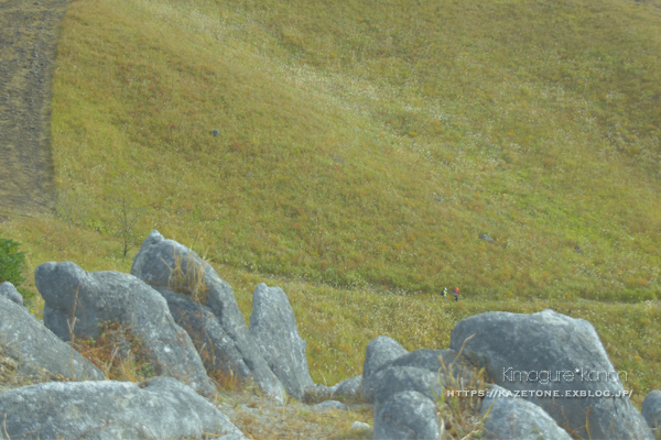  2018・11月の山活・カルストトレッキング②**平尾台最高峰・貫山へ_b0197639_22233973.jpg