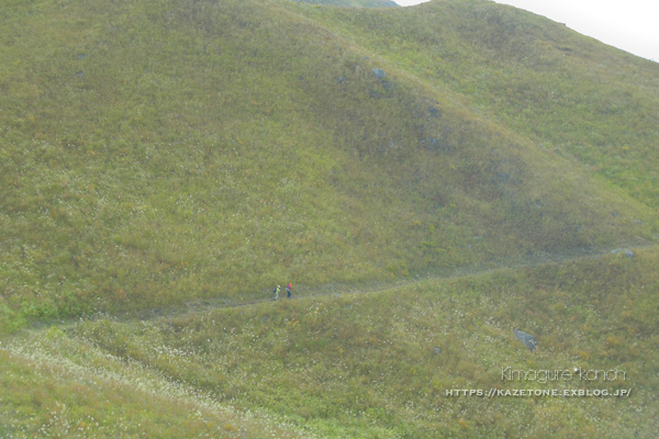  2018・11月の山活・カルストトレッキング②**平尾台最高峰・貫山へ_b0197639_22261111.jpg