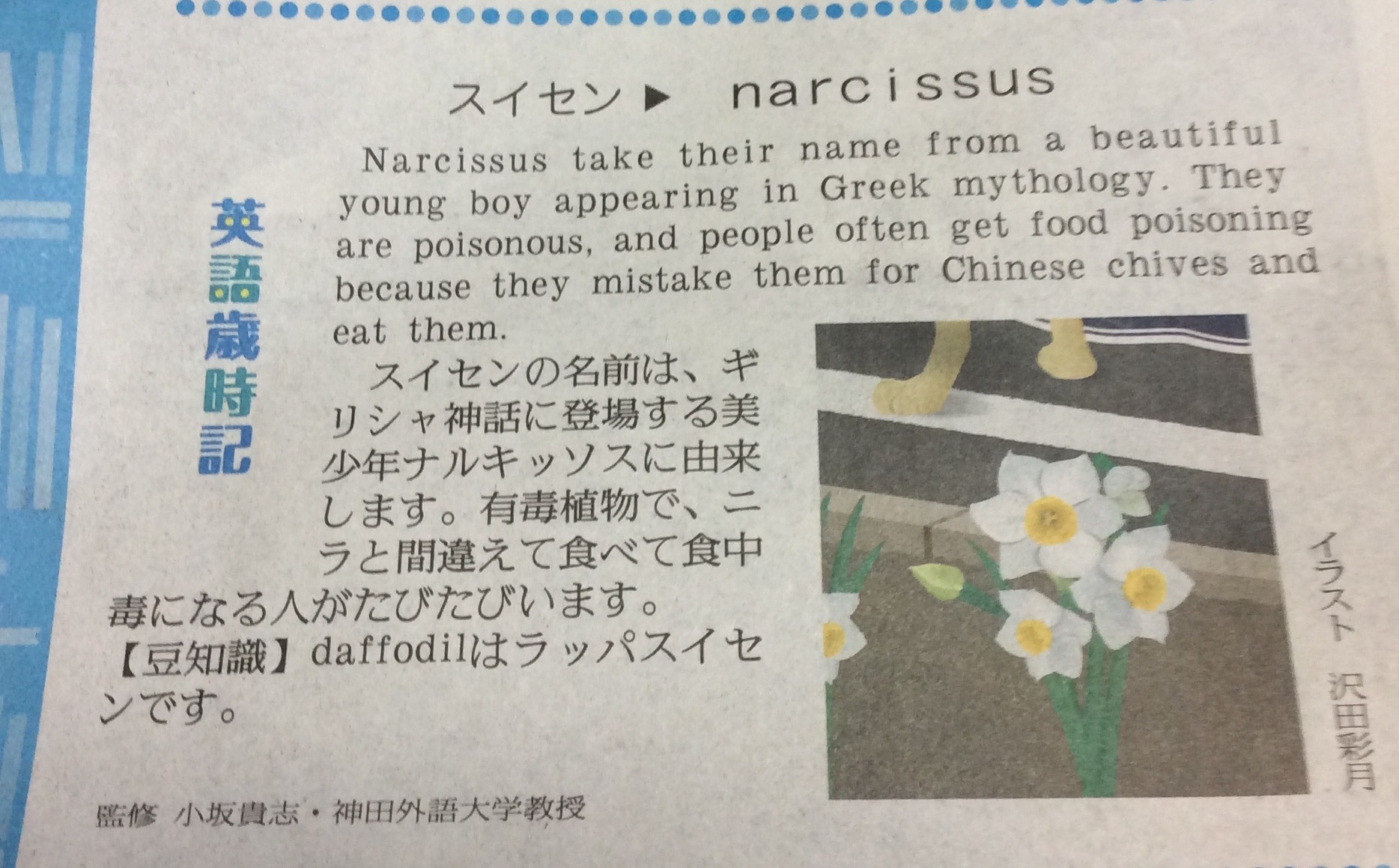 英語歳時記 0307 narcissus_e0147742_08210107.jpg