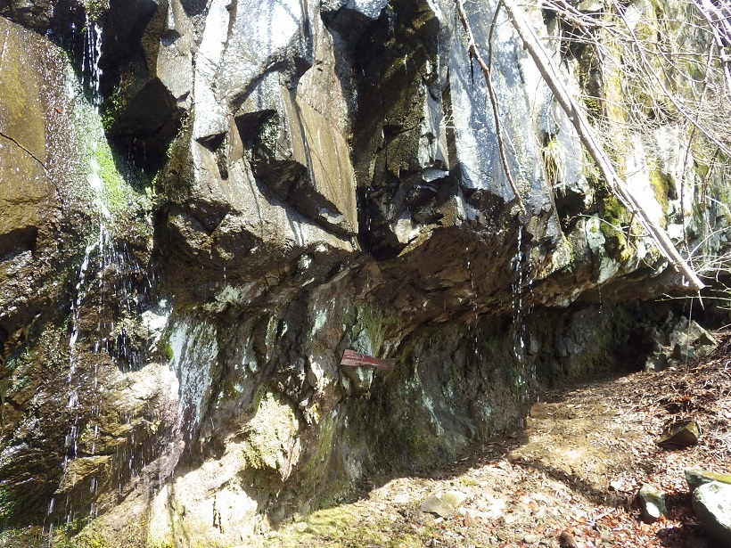 e0164643_10263739.jpg