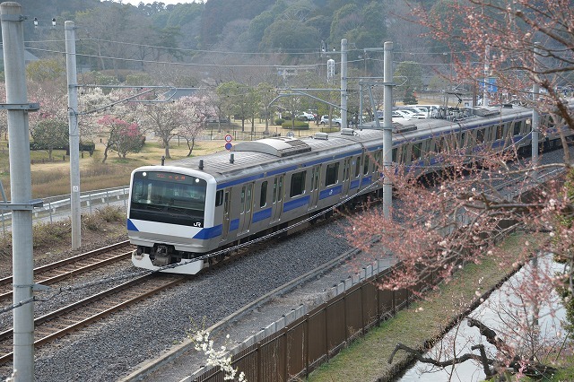 偕楽園の梅と鉄道_b0330744_00581815.jpg