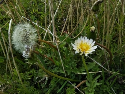 c0330749_18150837.jpg
