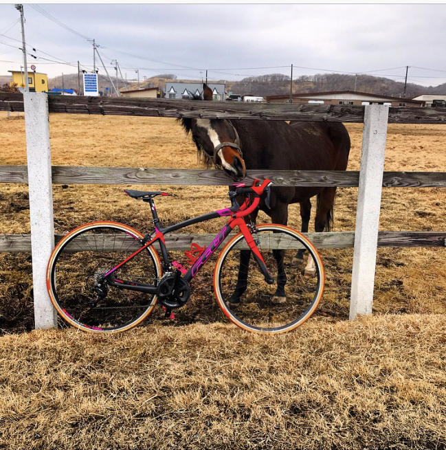 ３月の北海道～新冠町のラーメンを食べにサイクリング♪～木原あいぽこ～