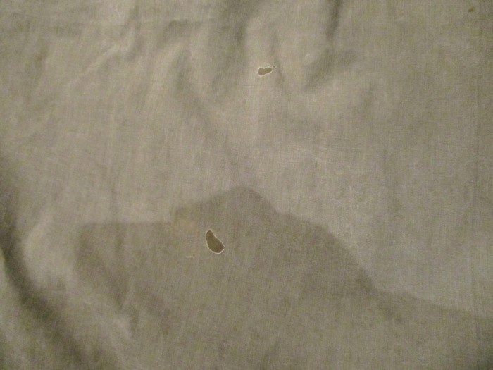 e0187362_11381787.jpg