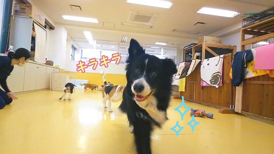 お天気は悪かったですが!_f0357682_17203087.jpg