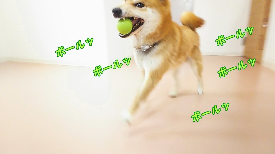 お天気は悪かったですが!_f0357682_17204506.jpg