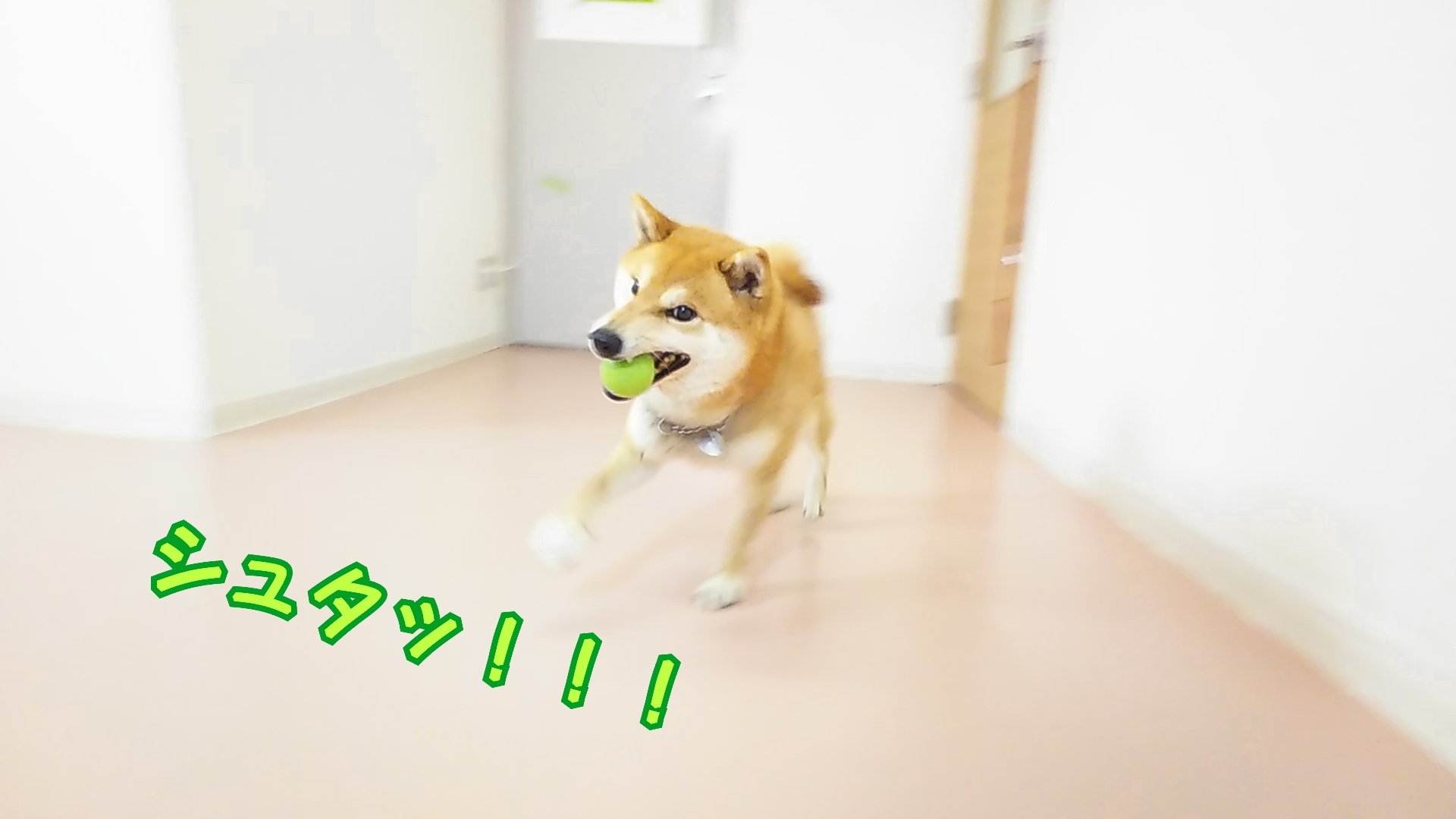 お天気は悪かったですが!_f0357682_17204546.jpg