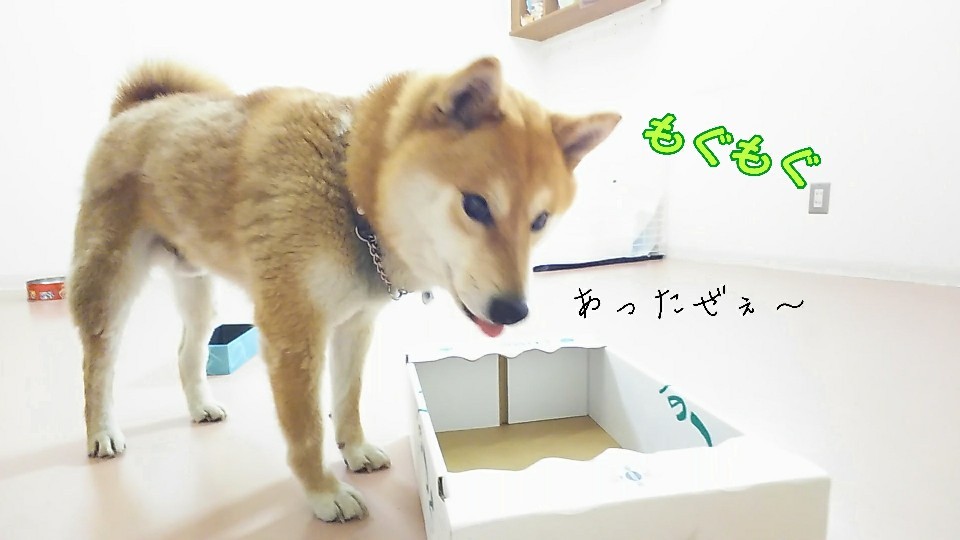 お天気は悪かったですが!_f0357682_17205227.jpg