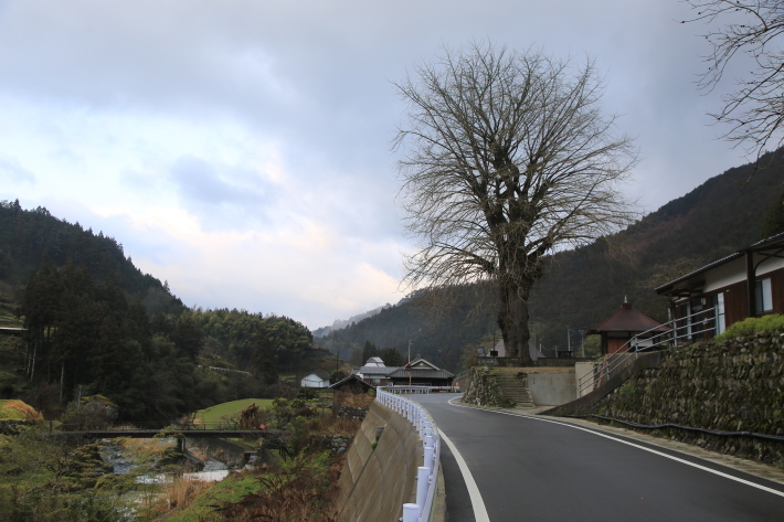c0358784_22012595.jpg