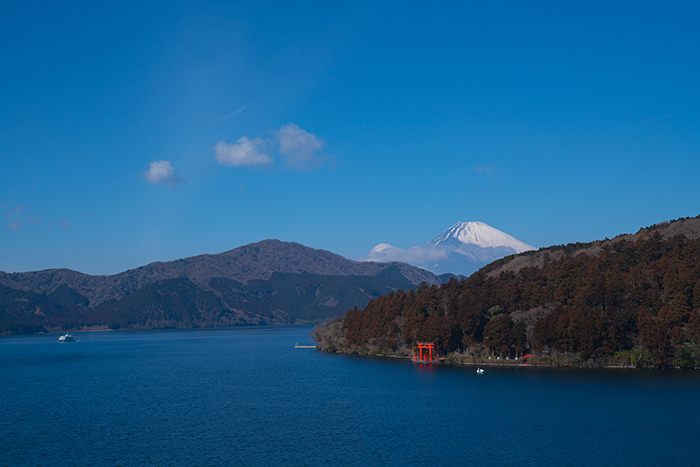 まるで日本画のような風景　成川美術館_b0145398_23485472.jpg