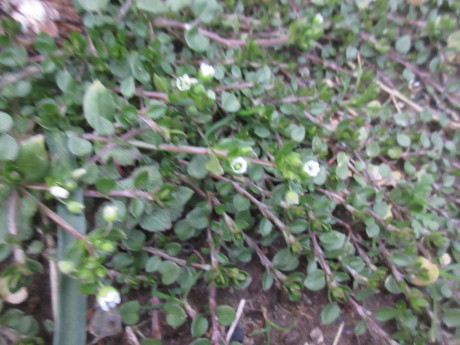 a0203003_21323351.jpg