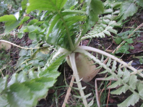 a0203003_21334140.jpg