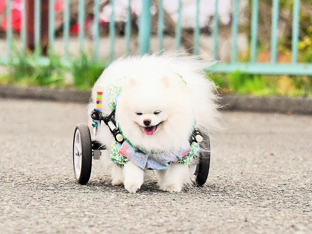 絶対に負けない彼女_d0360206_00253332.jpg