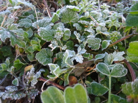 f0231709_13583845.jpg