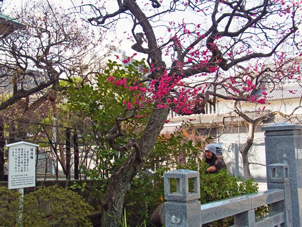 泉岳寺のアパホテルに泊まり、朝からの仕事に向かう_e0083517_04030044.jpg