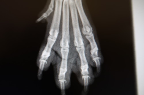f0128821_22440544.jpg