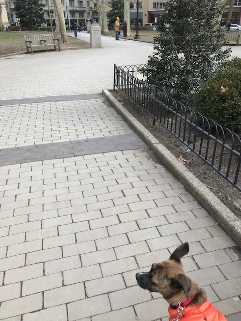 d0269832_09311454.jpeg